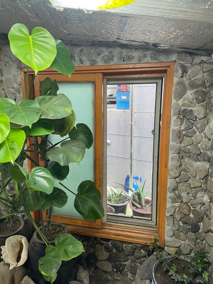 KakaoTalk_20250818_141718359_05.jpg