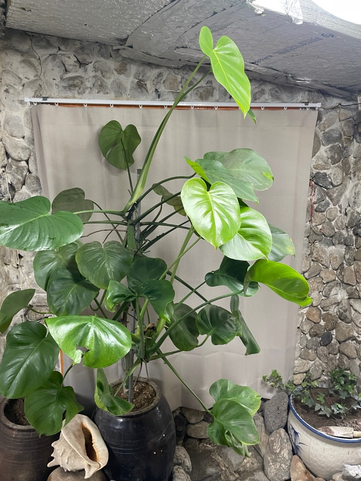 KakaoTalk_20250818_141718359_07.jpg