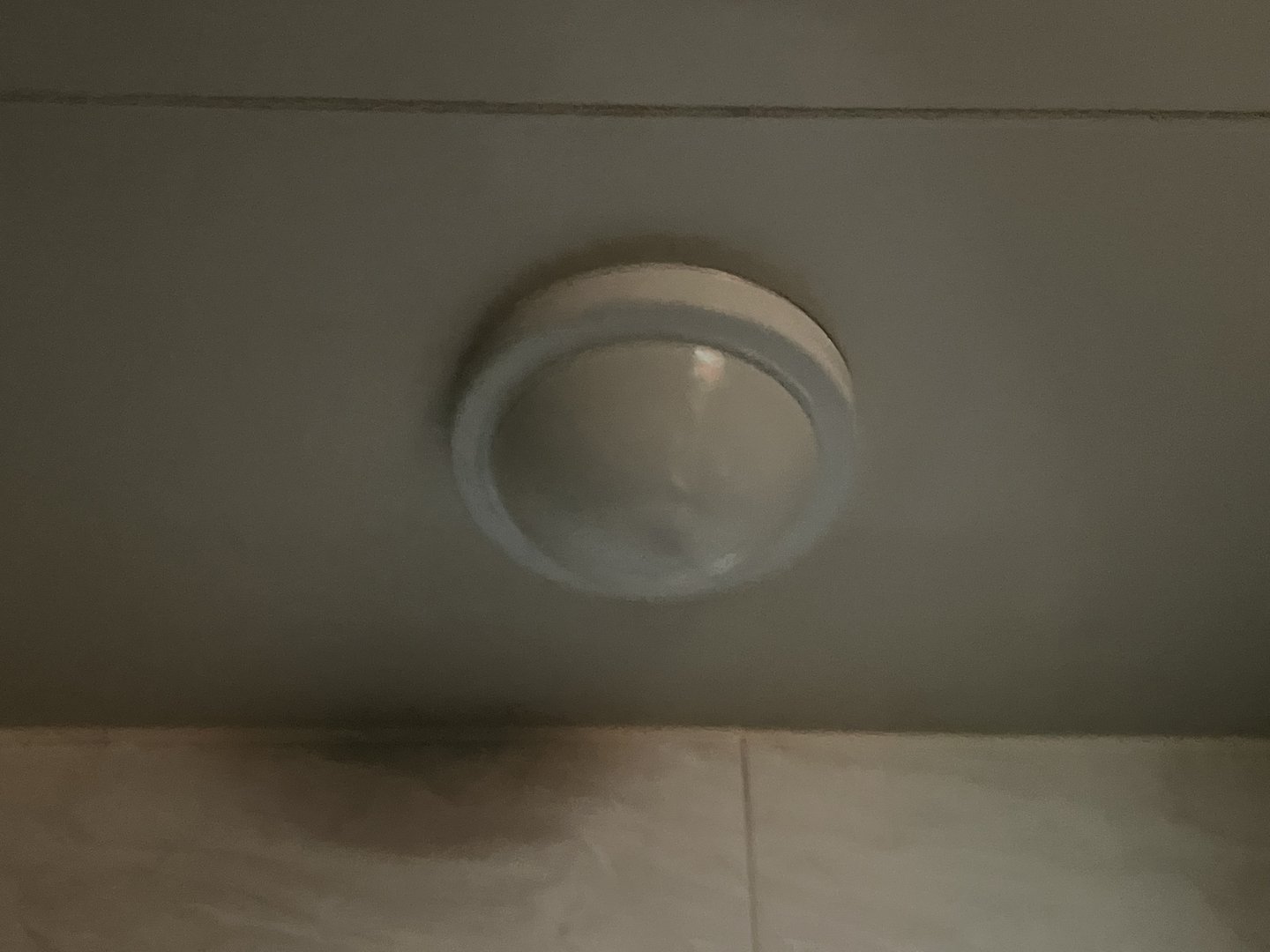 KakaoTalk_20230309_225929549.jpg