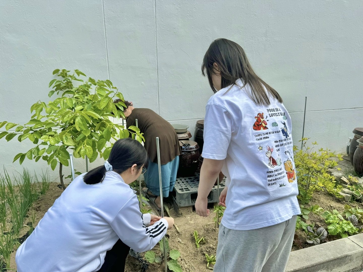 KakaoTalk_20240528_113835800_01.jpg