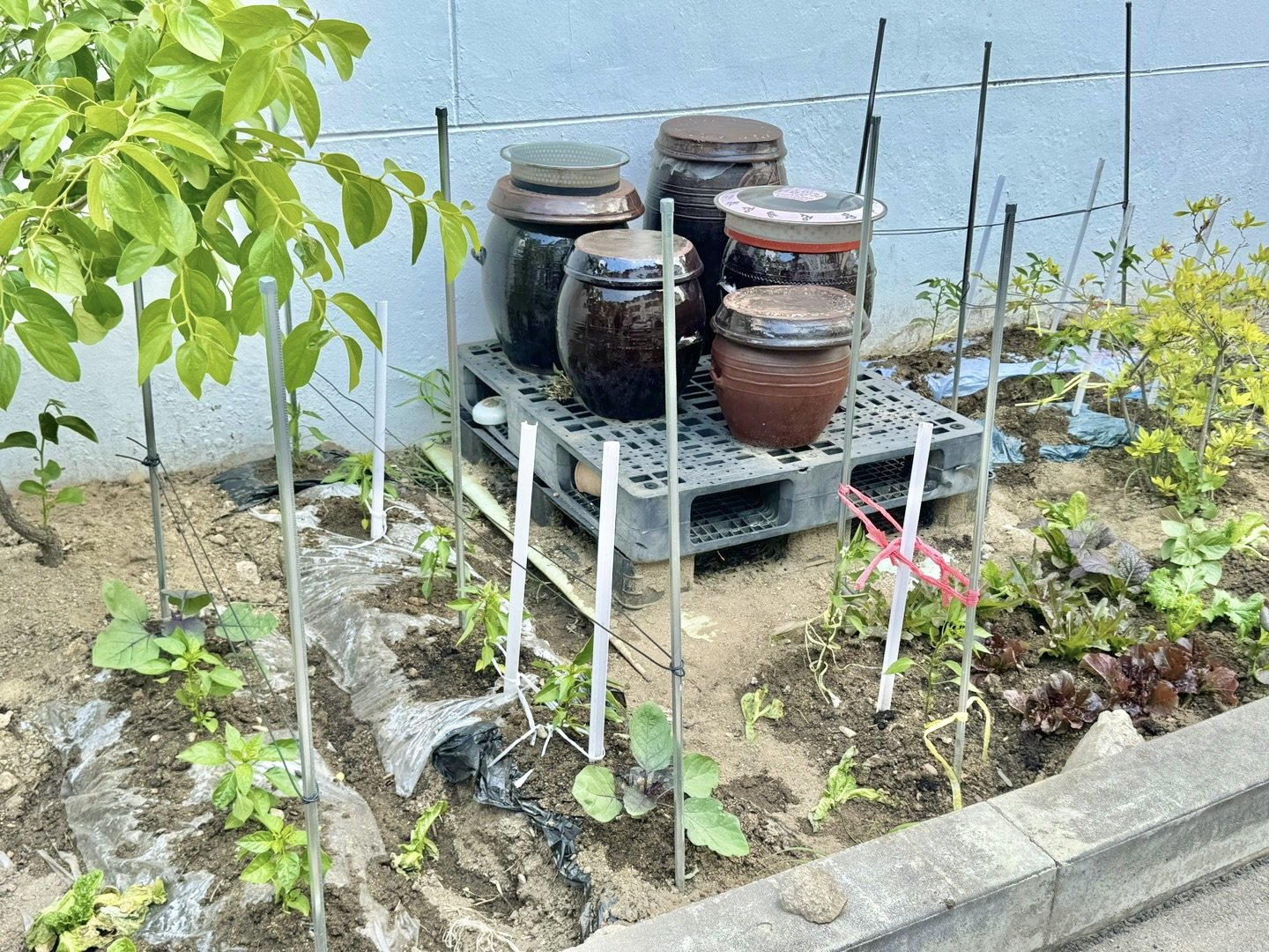 KakaoTalk_20240528_113835800_05.jpg
